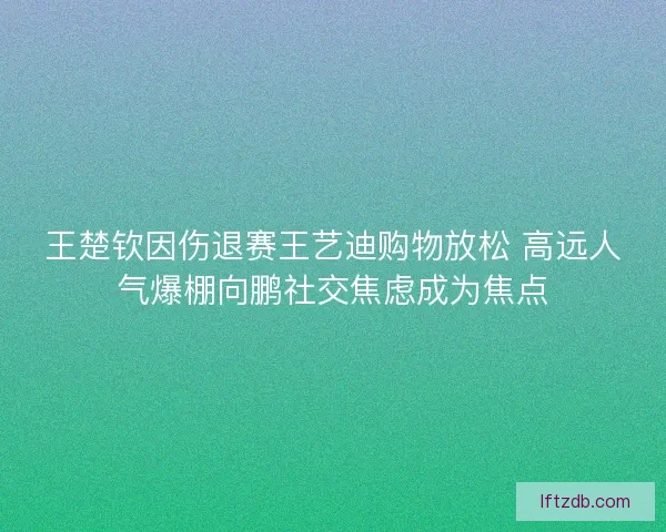 王楚钦因伤退赛王艺迪购物放松 高远人气爆棚向鹏社交焦虑成为焦点